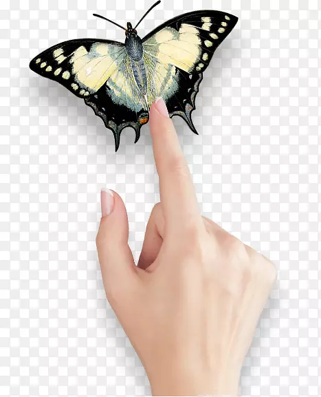 �Ĵ����Ǻ��������Ϥ�������滭��-�Ĵ����Ǻ����ͷɶ�-������