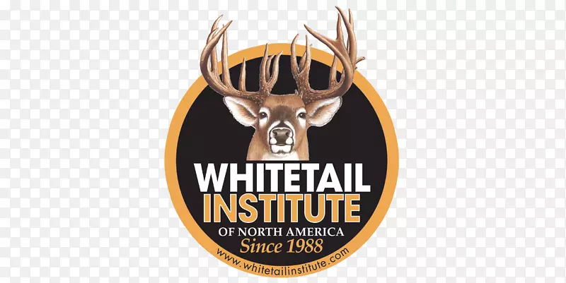 �ձ�¹�ư�β¹�о�������-��β¹-������