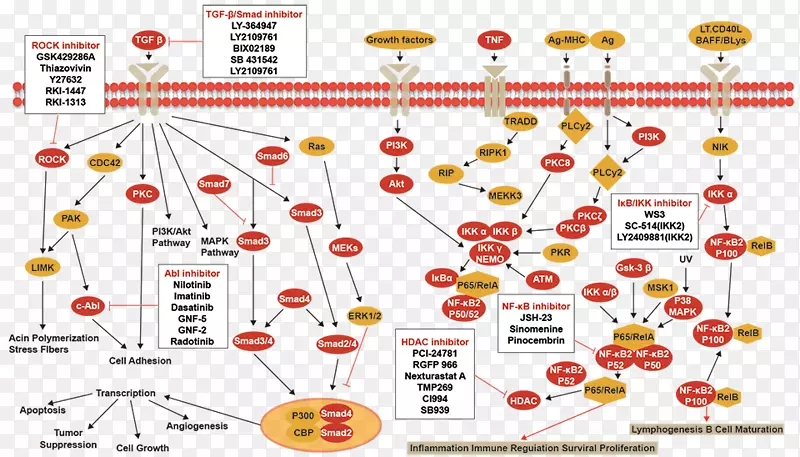 �ߵ㼼��.��-������