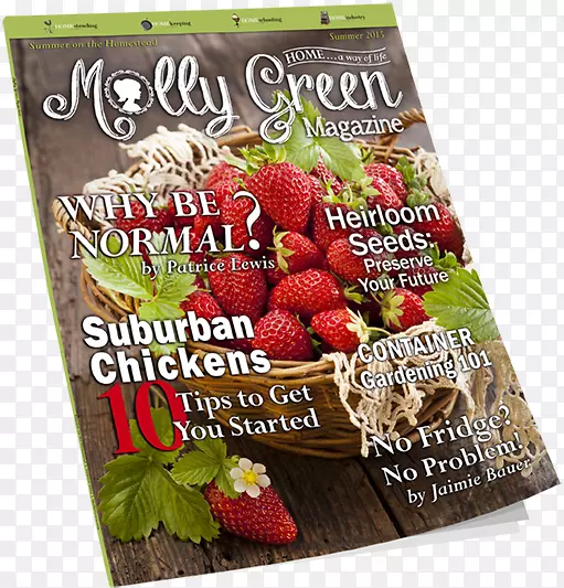 ��ݮʳƷ���Ҿ����⸲����-��ͥ�ļ�-������