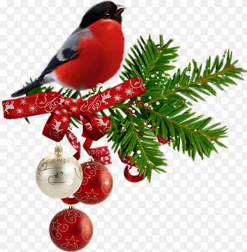 ��������19Ӣ�����ѡ������ʼ��Ƶ������-��-������