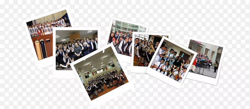 Ʒ�����-������