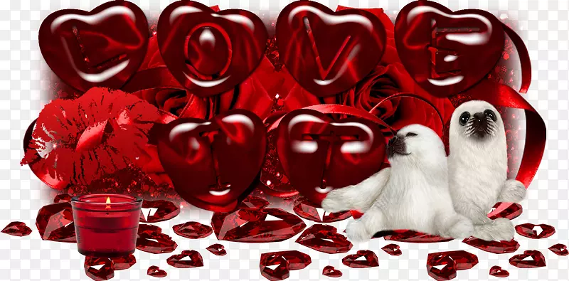 �����˽ں�ɫ������-�������������-������