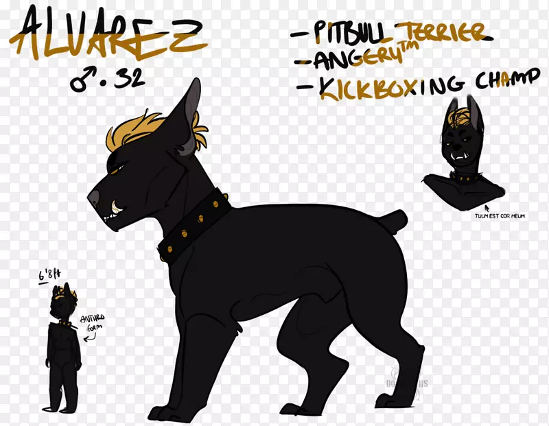 ����ֳС����������-�Ҹ�����-������