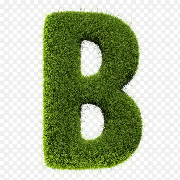 �̲���ĸ-������