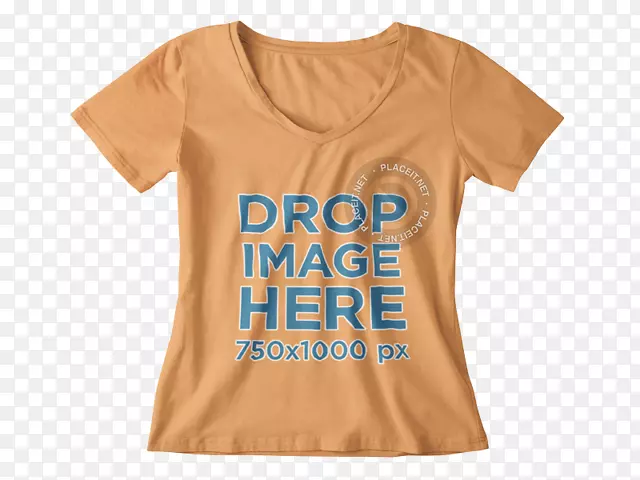 T�������������ģ��-������