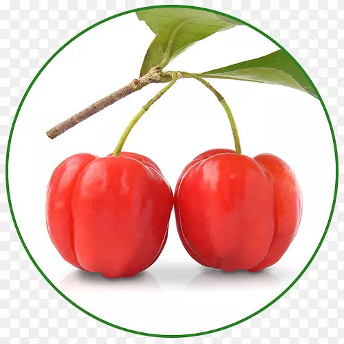 �ͰͶ�˹ӣ��ά���ع�-������