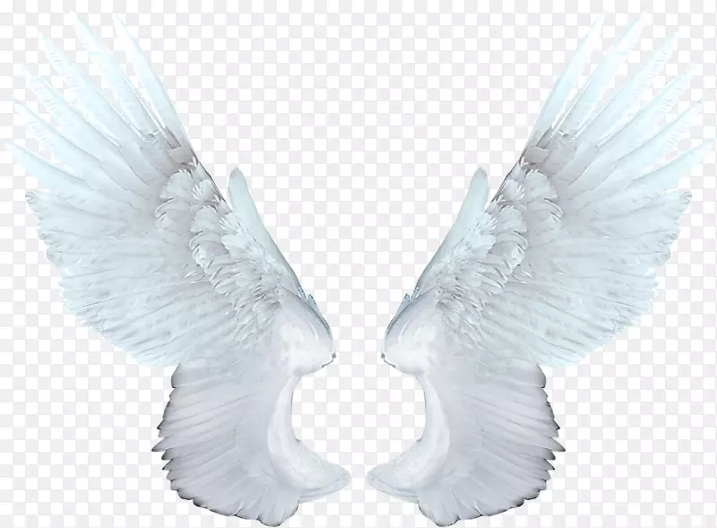 ʳƷ������־����-����ʹ���PNG-������