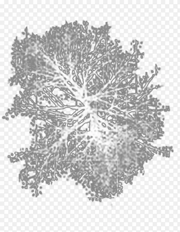 ���������￪��ֲ��Գ�������ͼ���߼���ѧԺ-������