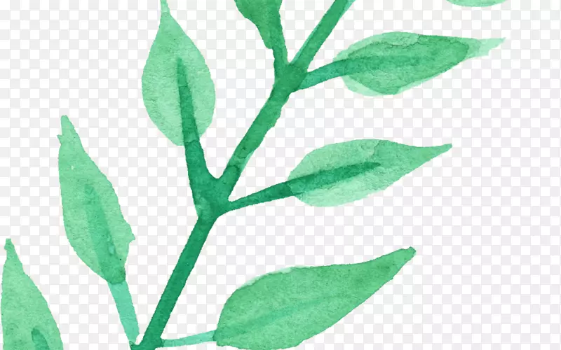 ˮ�ʻ�����ˮ�ʻ�������-������