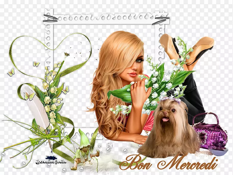 ɽ���е�����Ů�˵����Ĳ���-ɽ�ȵİٺϻ�-������