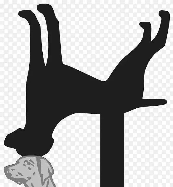 ��ָ�����߶��������.��Ӱ-������