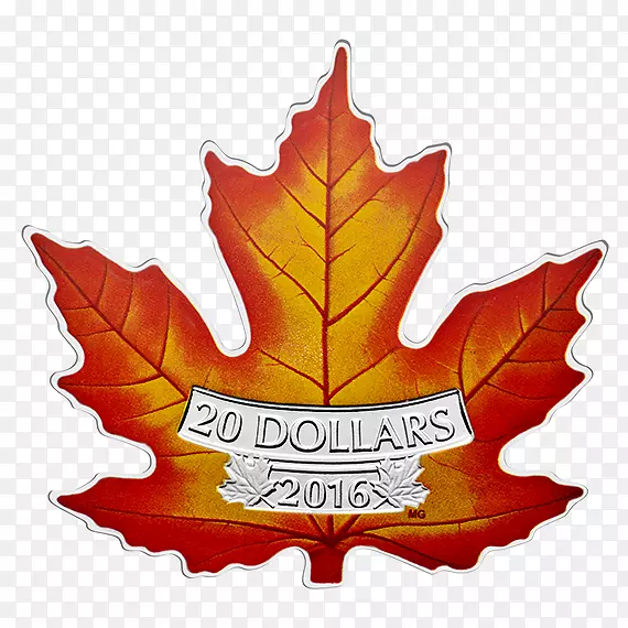 ���ô󱡺ɽ��Ҷ����-������