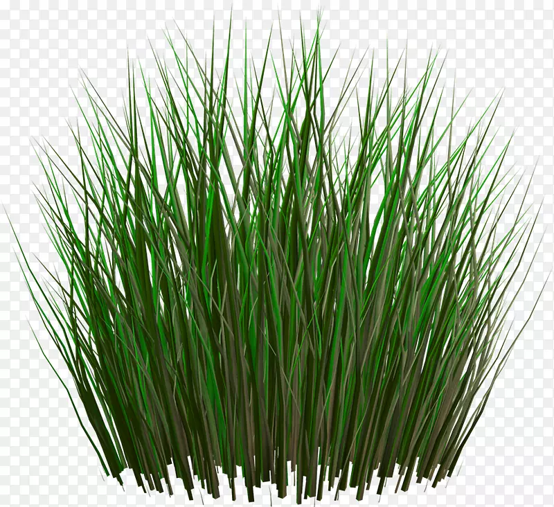 ��ƺ������-��������-������