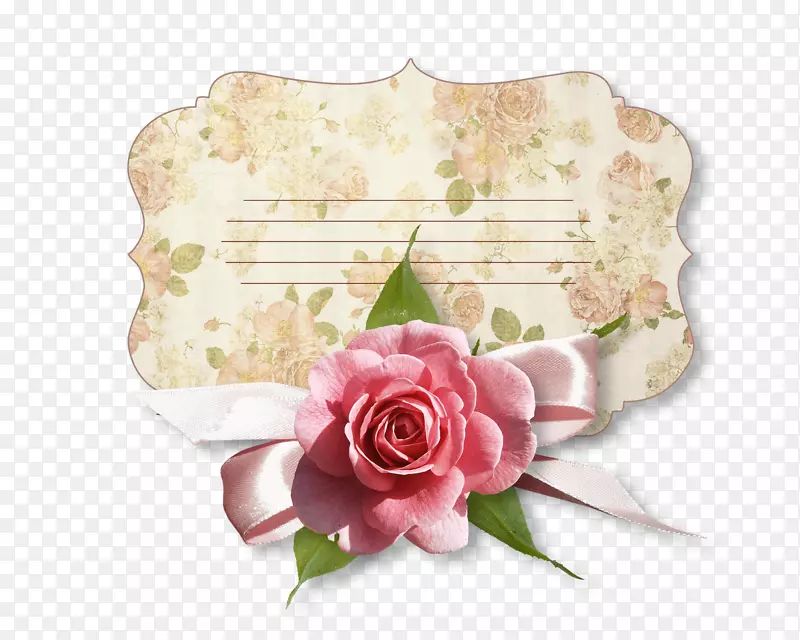 Adobeϵͳ-��ɫ����-������