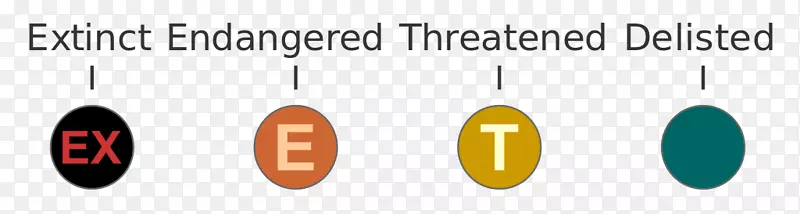 Ʒ����ָ����-��Σ����5��-������