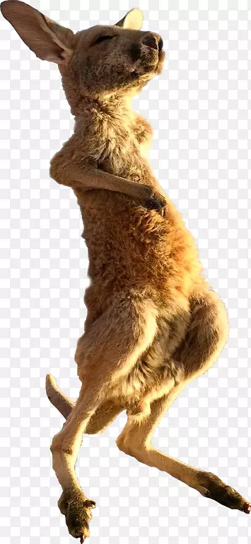 ���޺�̲�ȼٴ���Ѷ-Reddit IFTTT-������