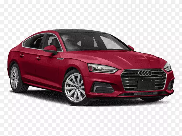 2018����ﻨ�ڽγ�2019���ﻨ���޼�������-�µ�a5-������