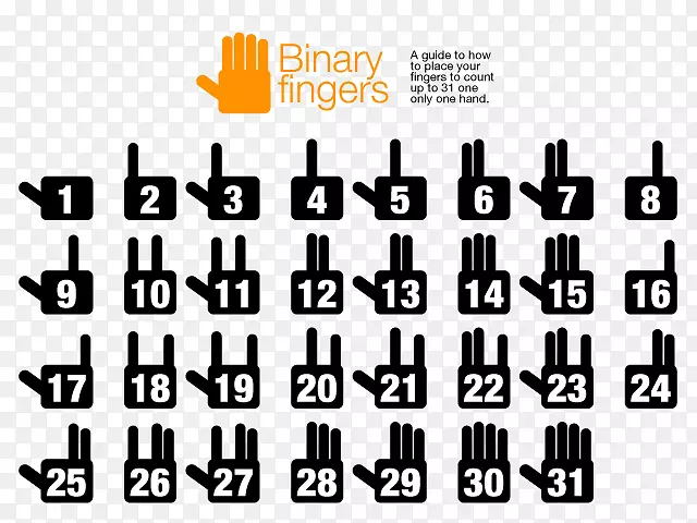 ��ָ������������-������