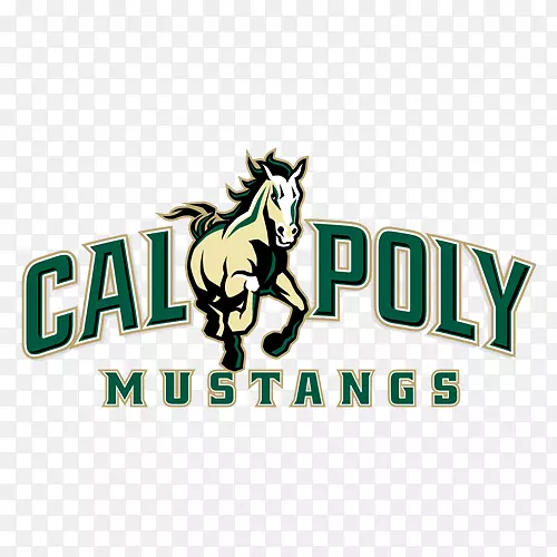 ����������ѧ����ʥ·��˹�±�˹������ѧԺ����������ѧ��ɼ��������˹ά��˹����-������