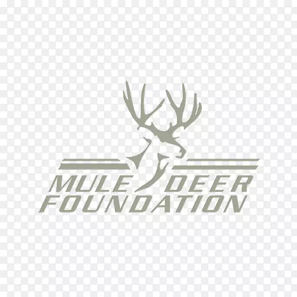 ¹¹�Ǳ�־����������¹-������