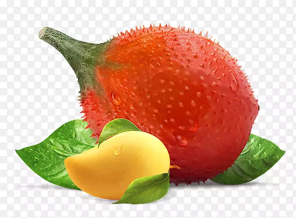 ��ݮGAC d?u g?c����ʳƷ-������-������