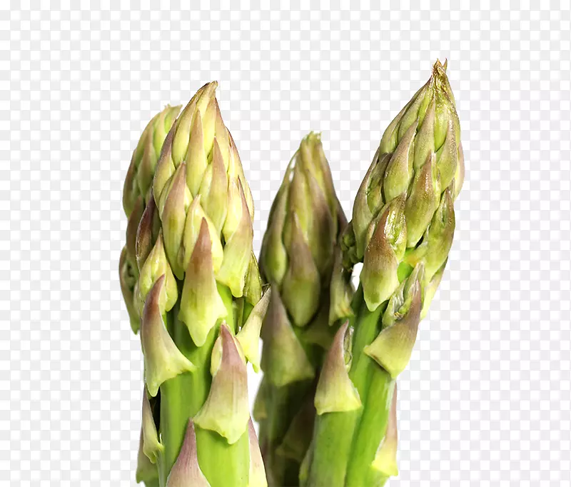 «���߲�-��ζ�߲���-������