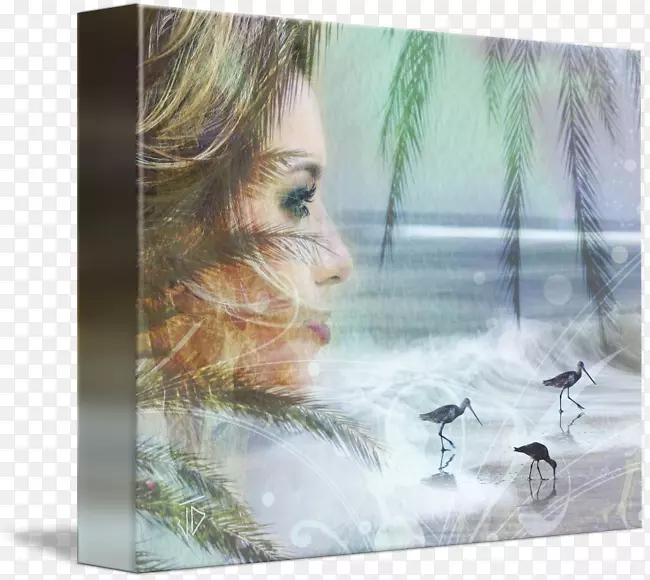 ˮ�ʻ�����.��̲����-������