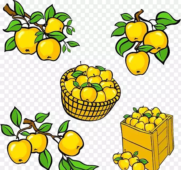 ������-����ƻ��������װ��-������