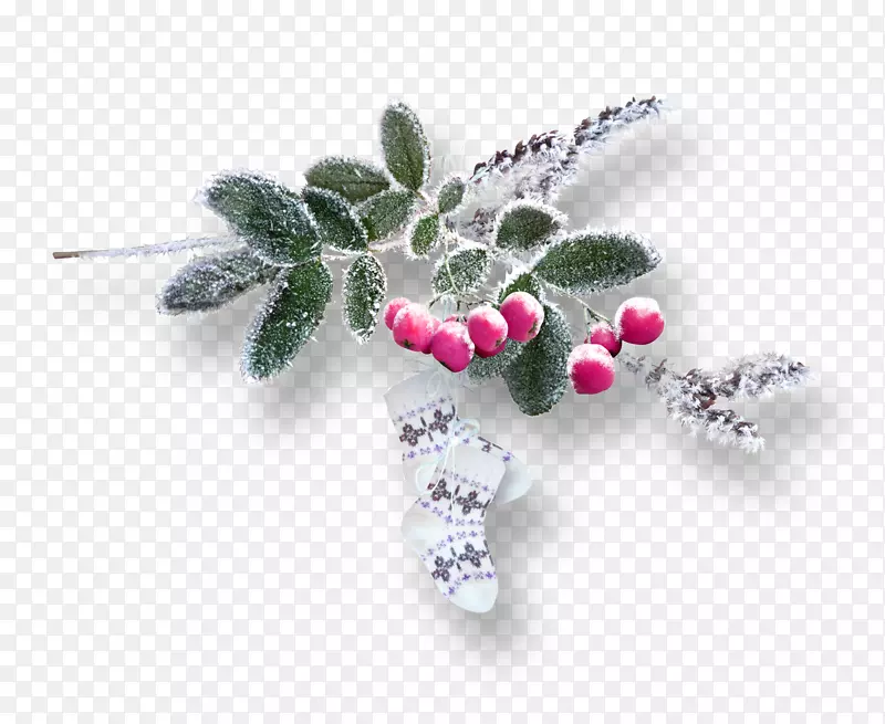 �鱦����-������