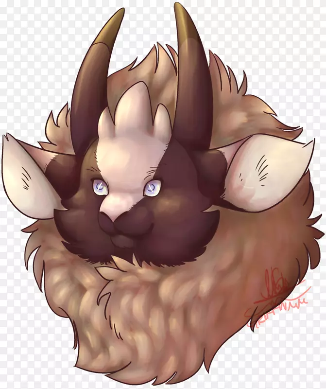 ���룬è������Ȯ�ƣ����ӣ�è-������