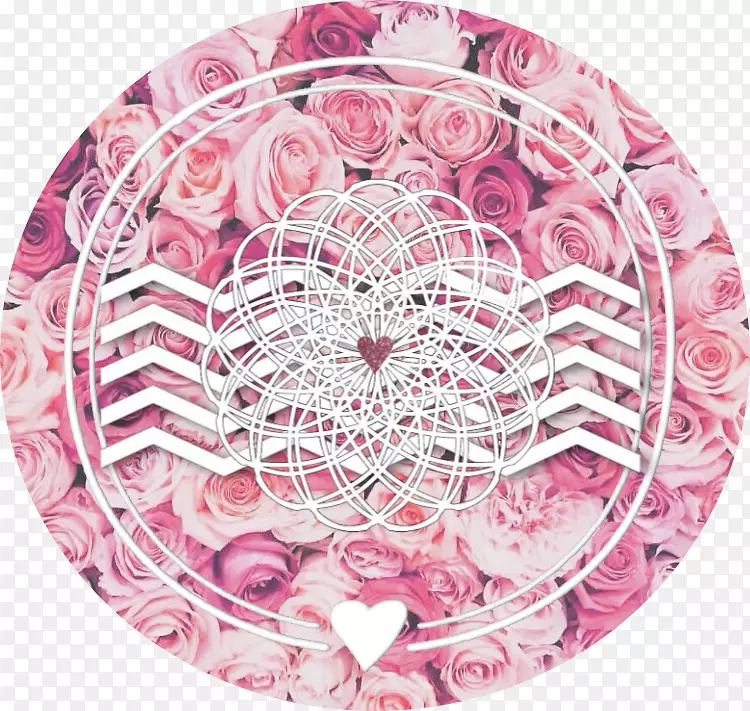 Instagram��ӰͼƬ������Ӱ������-Instagram-������