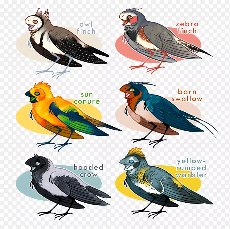 �ȸ������ë-������