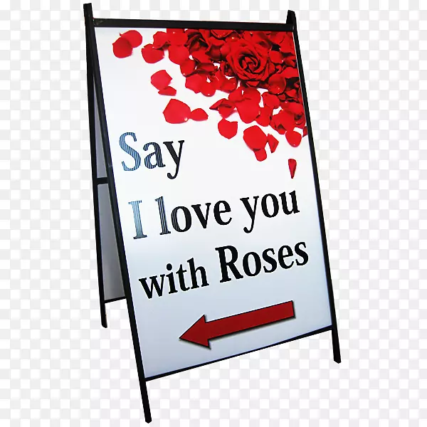 �������-�����-������