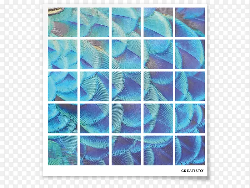 �����˼ҶԳ���ͼ����-������