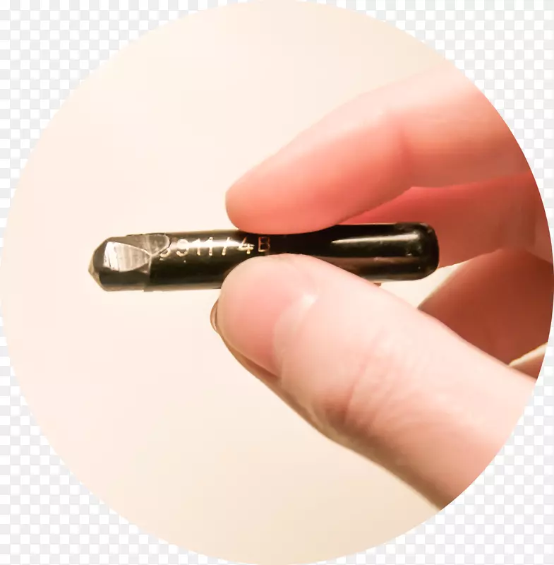 ��ɫǦ��ˮ�ʻ��۲�ָ��Ԥ��-������