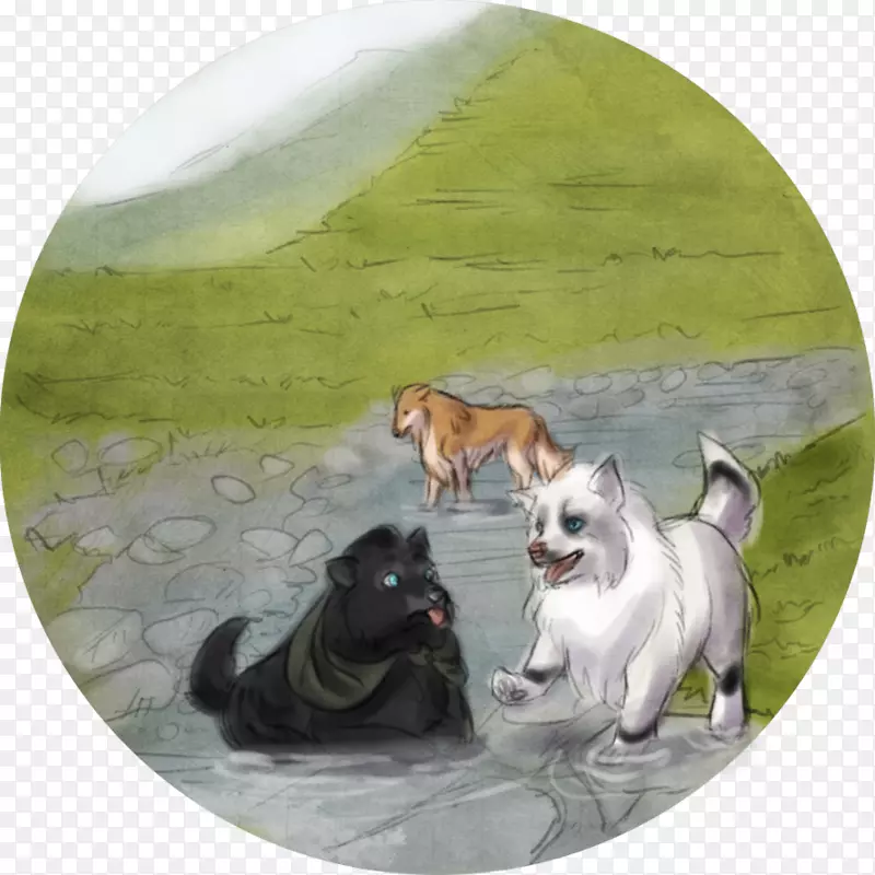 Ȯ�ֲ;�-��-������