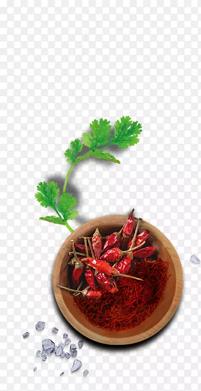 ���棬����������������������ŵ��Ģ��-������