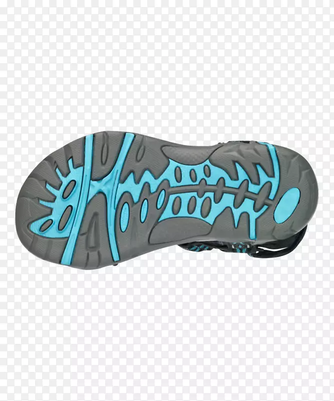 �˶�Ь������ѵ��������-��Ҷ-������