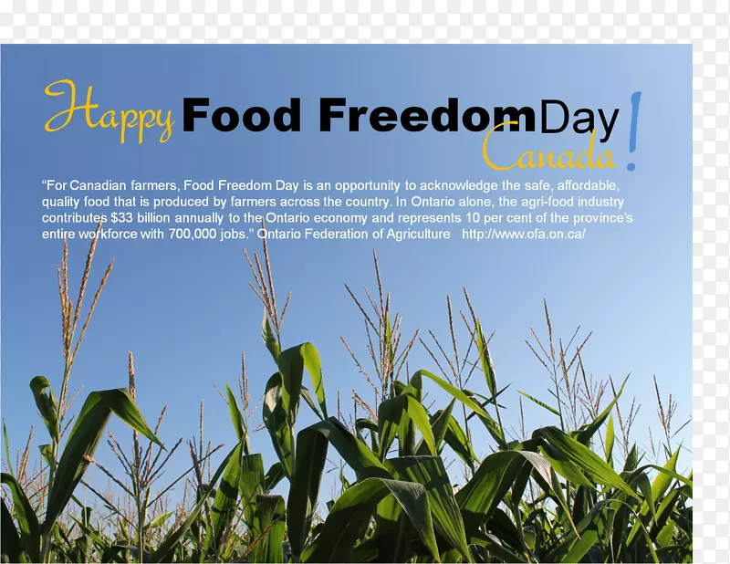 �µϲ���Դ����ý�����-���ô���-������