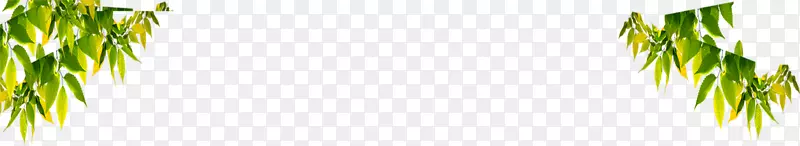 �����ֽ��ݽ���������Ҷ-������