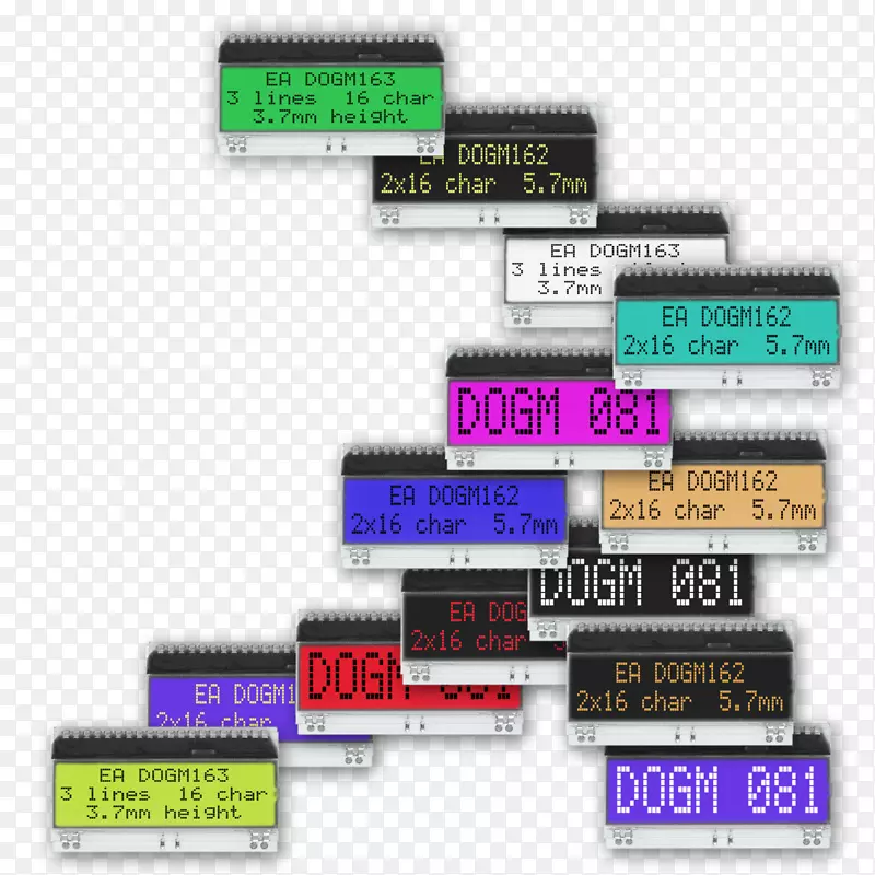 �����������-�����̵�-������