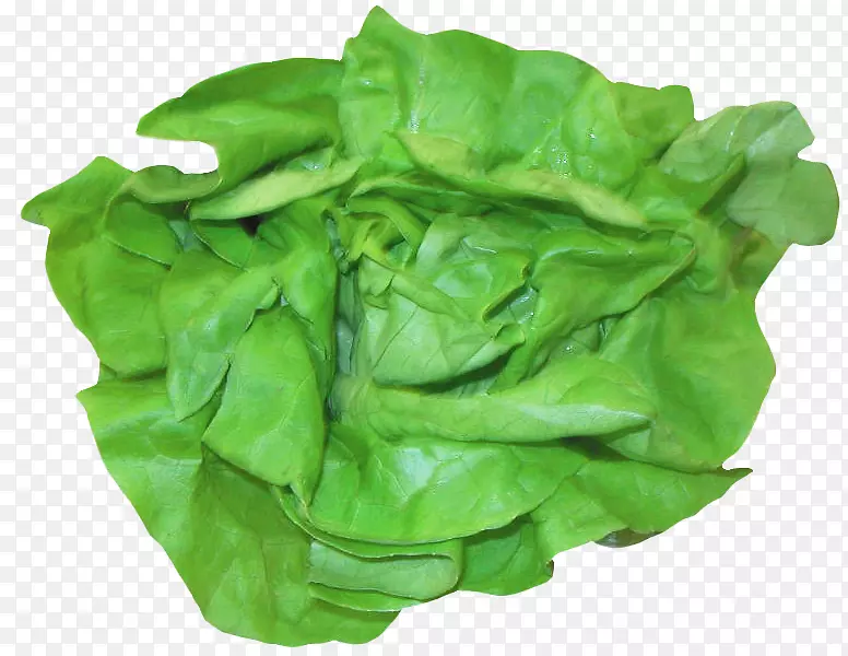 ݫ�Ĳ���ɳ��-������