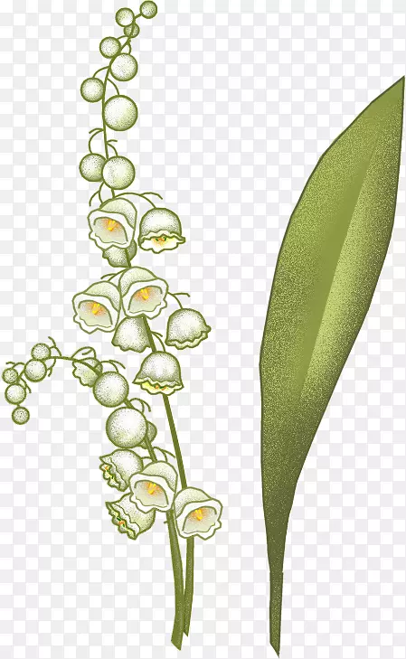 �ٺϿ���ֲ�ﾥֲ��-ɽ�Ȱٺ�-������