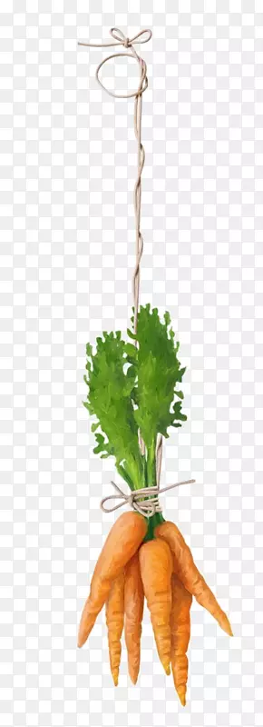 �ѹ��߲�����ʳƷ-�߲�-������