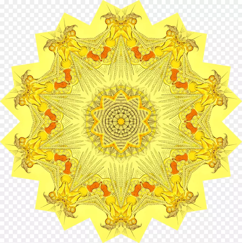 ���ͶԳƻ�-������