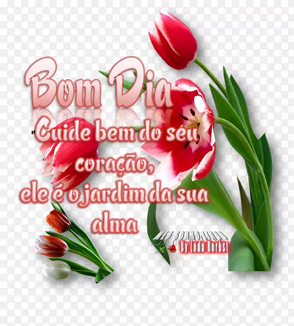 ��������л�����������-������-������