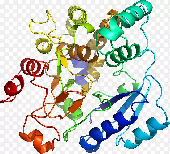 ������������Ʒ�л�����-������