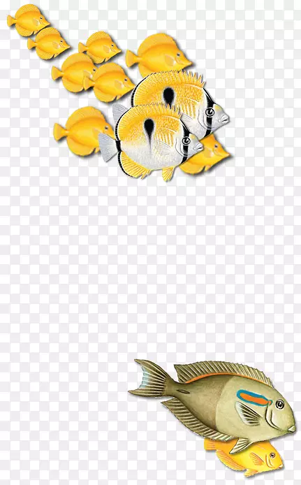 ���ද��-�ȴ�ɭ��-������