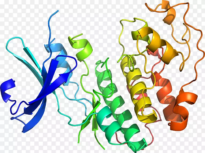 ������ʳƷֲ�ﾥ������-������